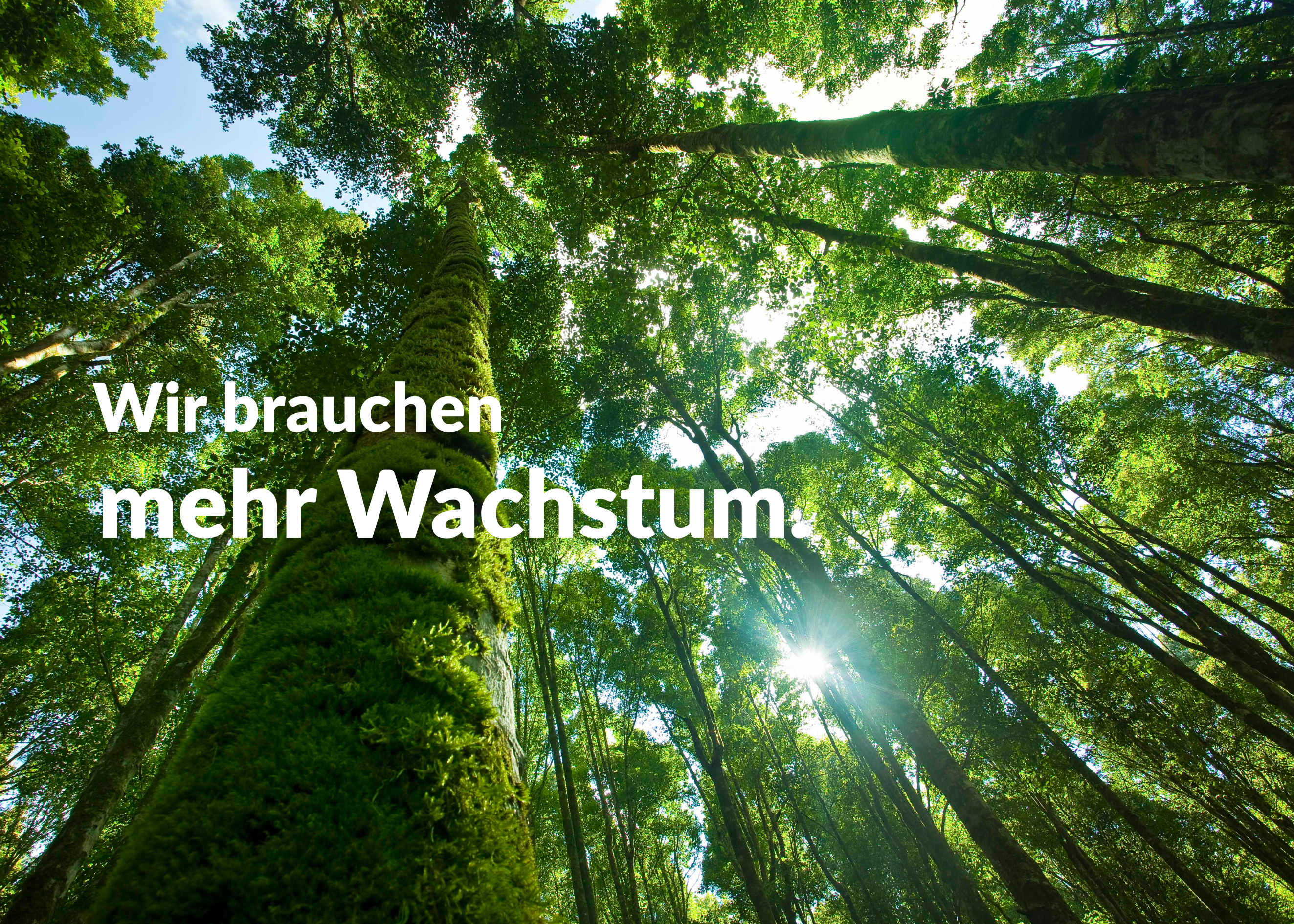 Kampagnenslogan: "Wir brauchen mehr Wachstum.", im Hintergrund zu sehen: Ein Baum, der in die Höhe ragt. 