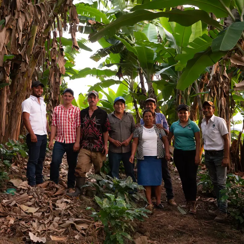 Projektmitarbeitende stehen zwischen Palmen. 