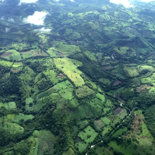 Drohnenaufnahme einer Landschaft mit Feldern, Wäldern und Hügeln. 