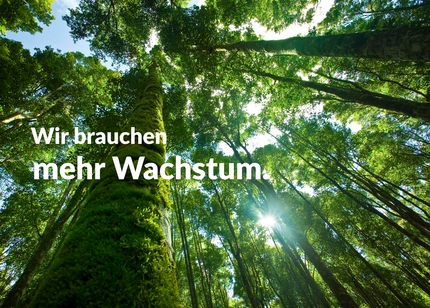 Kampagnenslogan: "Wir brauchen mehr Wachstum.", im Hintergrund zu sehen: Ein Baum, der in die Höhe ragt. 