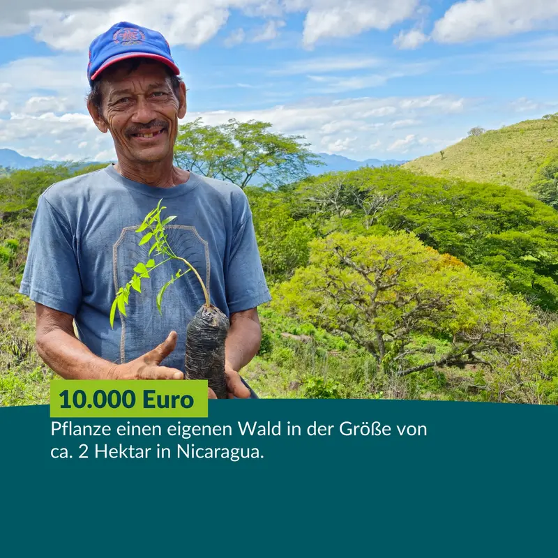 Großspende: 10.000 € ermöglichen 2 Hektar neuen Wald in Nicaragua.