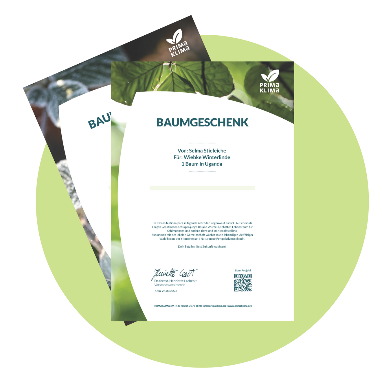 Baumurkunde als Dank für Spende, in Sommer- oder Wintermotiv.