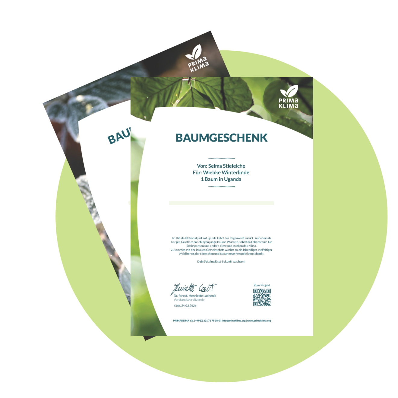 Baumurkunde als Dank für Spende, in Sommer- oder Wintermotiv.