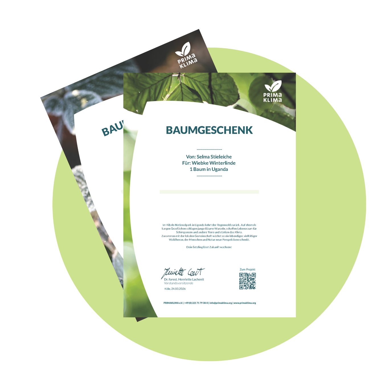 Baumurkunde als Dank für Spende, in Sommer- oder Wintermotiv.