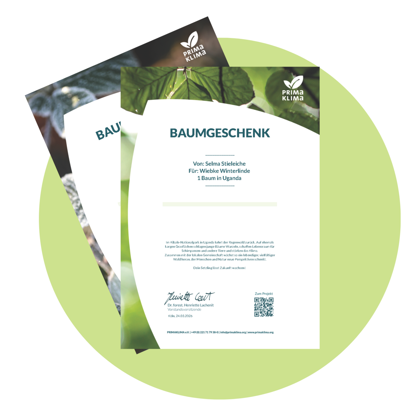 Baumurkunde als Dank für Spende, in Sommer- oder Wintermotiv.