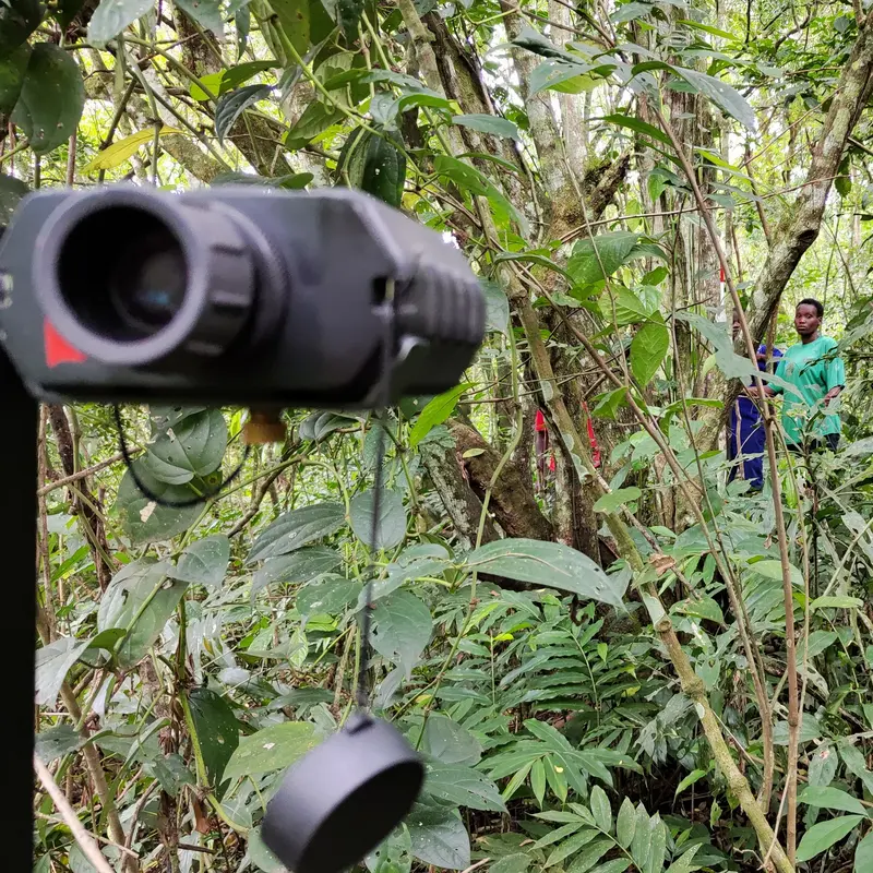 Mehrere Personen führen Monitoring und Pflege im Wald durch.