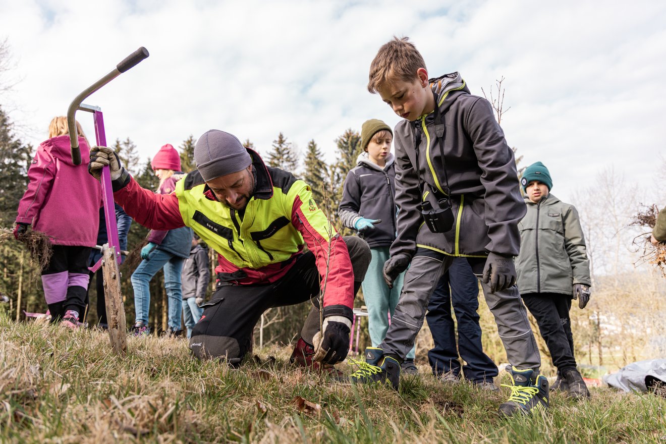 Kinder beobachten einen Erwachsenen beim Pflanzen eines Baumes