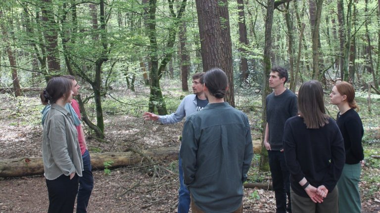 Gespräch im Wald