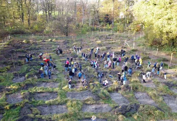 Luftaufnahme: Schulklassen pflanzen in Gruppen Bäume.