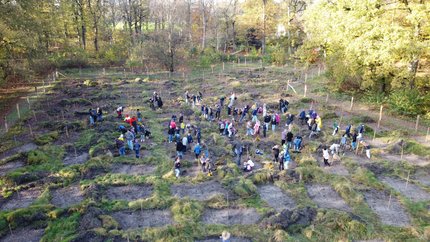 Luftaufnahme: Schulklassen pflanzen in Gruppen Bäume.