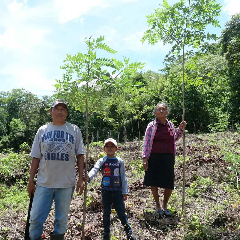 Zwei Erwachsene und ein Kind stehen zwischen jungen Bäumen.