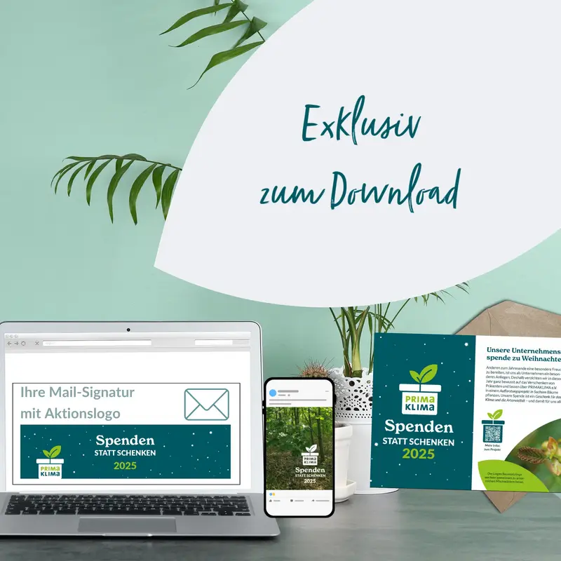Weihnachtsspende für Unternehmen - Einblick in kostenloses Material