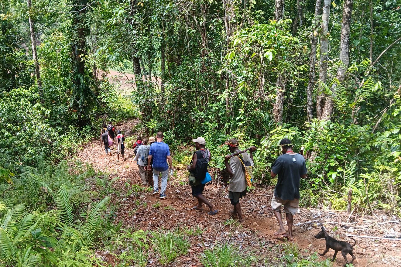 Personen und ein Hund gehen im Regenwald einen Hang hinunter.