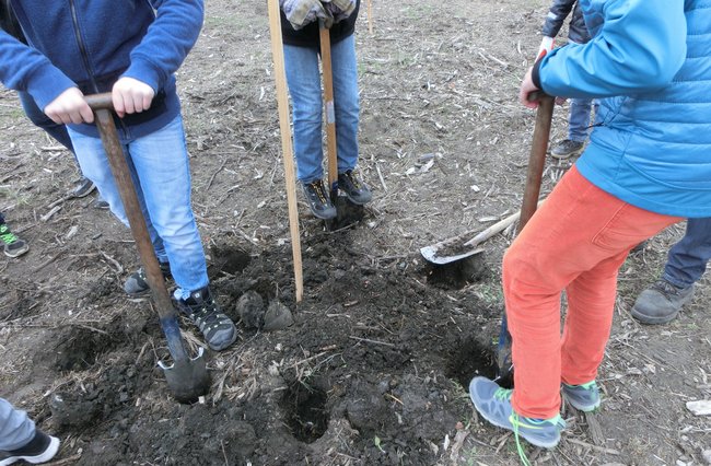 Kinder graben mit Spaten in wetterfester Kleidung Pflanzlöcher für die Bäume.