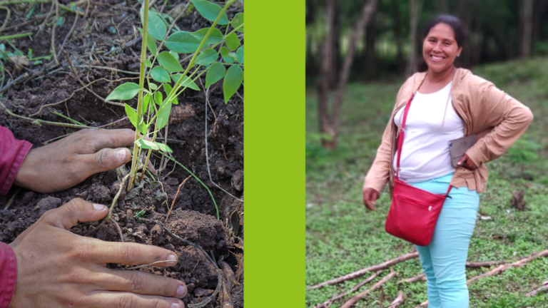 Projekt Nicaragua