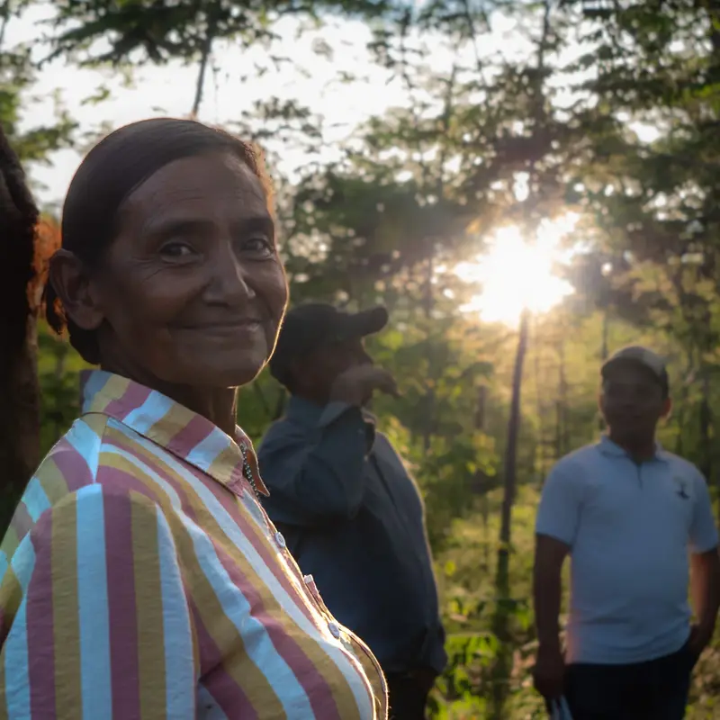 Frau steht vor Bäumen, im Hintergrund geht die Sonne unter. 