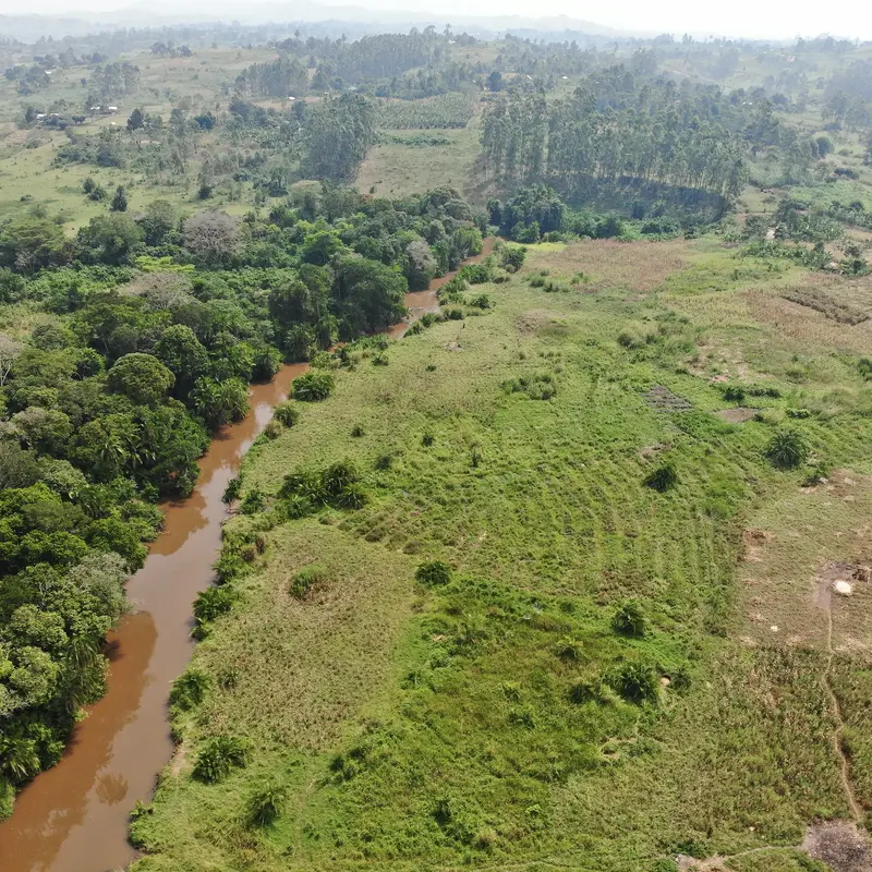 Drohnenaufnahme im Kibale-Gebiet: Ein schmaler Fluss trennt Wald von Graslandschaft