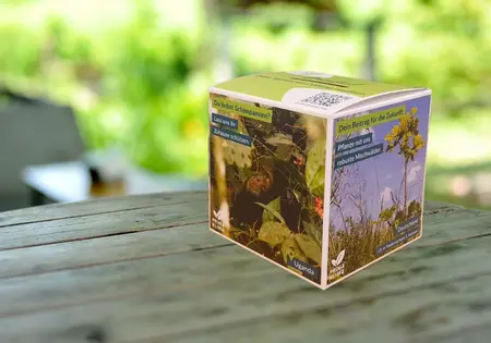 Eine Spendenbox im PRIMAKLMA-Design steht auf einem Tisch.