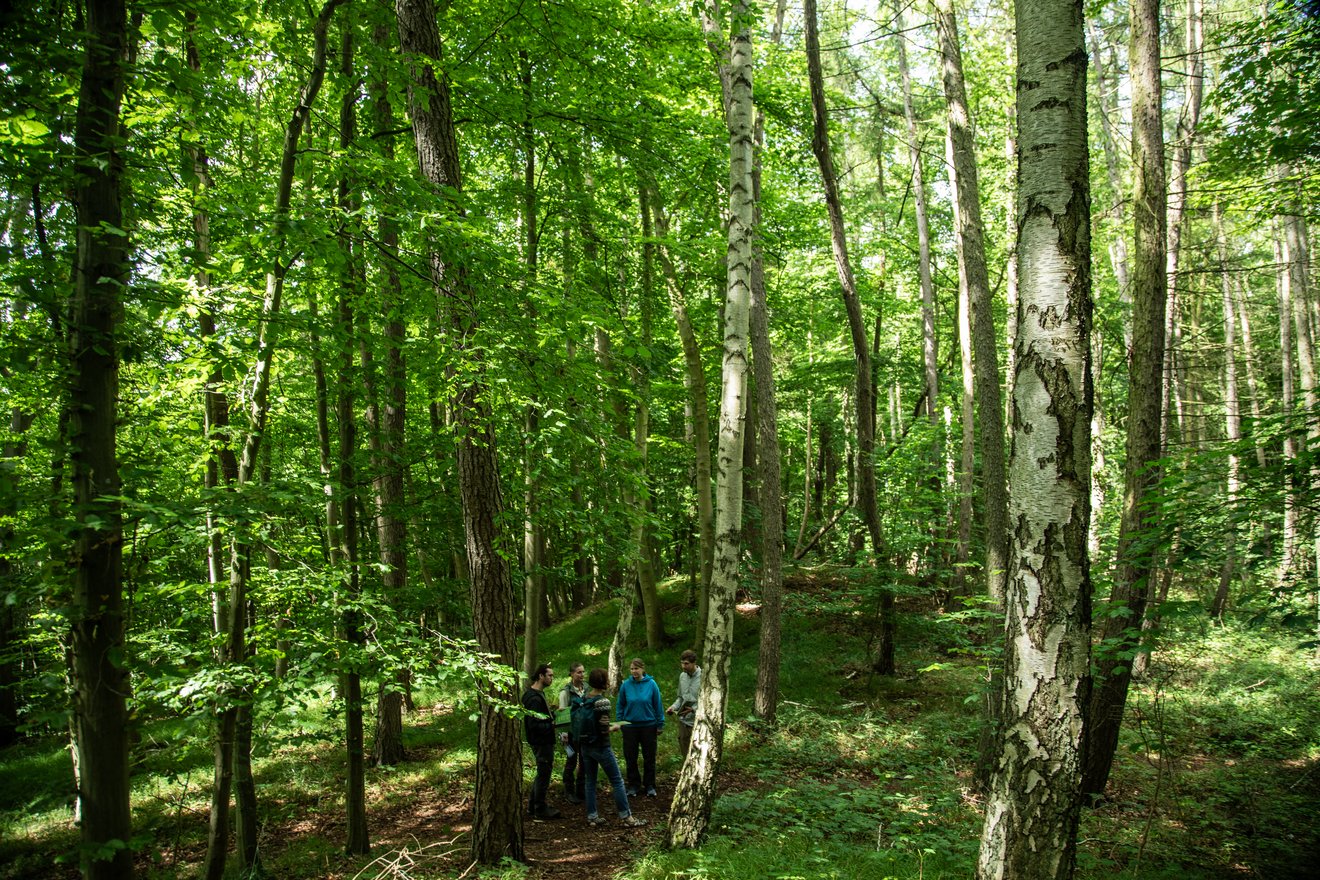 Menschen stehen im dichten Wald und unterhalten sich