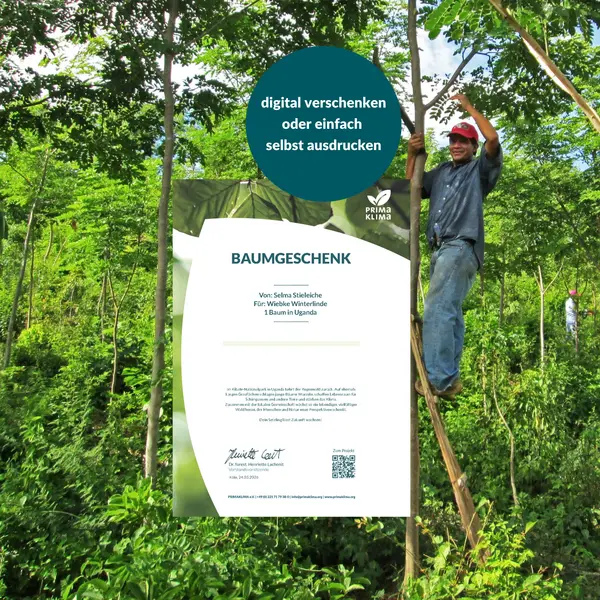 Baumurkunde als Dank für Spende, digital versendbar oder druckbar.