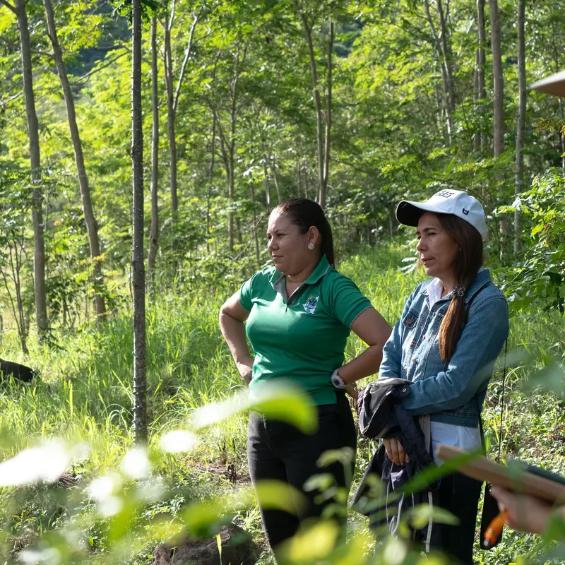 Personen stehen im Wald, die Sonne scheint. 