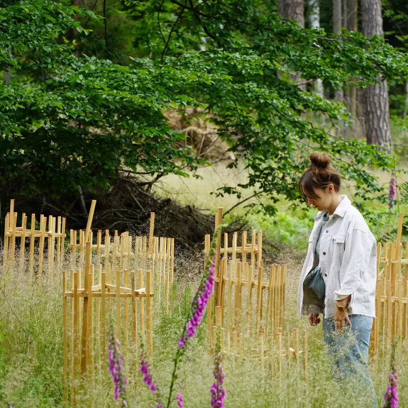 Person begutachtet eingezäunte Baumsetzlinge im Wald.